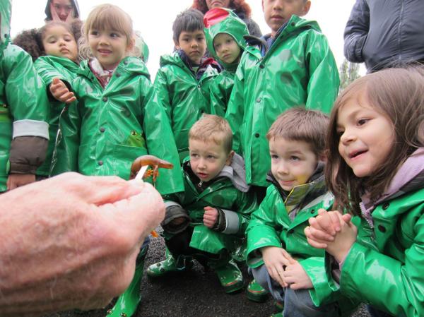 Young children dressed in rain jackets looking at a newt.